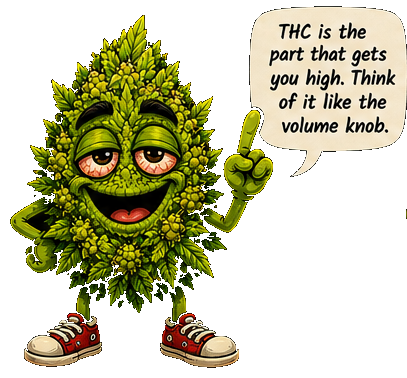 Buddie explaining cannabis terpenes